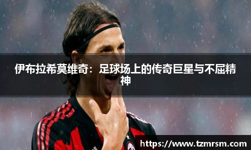 伊布拉希莫维奇：足球场上的传奇巨星与不屈精神